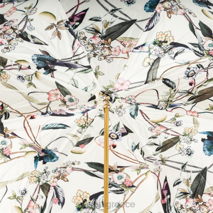 ομπρέλα | PASOTTI 189 5k341-5 c22 - ομπρέλα πράσινη ελιά 2N6B8341 γυναίκες